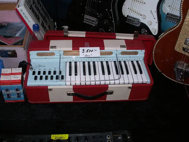 Ibiza Students Enjoy Special Offers from our Collaborators