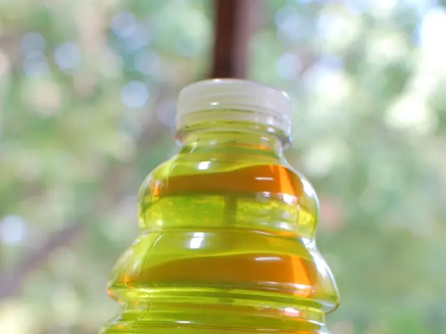 Erich Kästner Comprehensive School Honored as a "Healthy School"