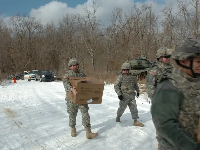 Veteran skills in adaptability, team collaboration, and dedication to tasks making them top...