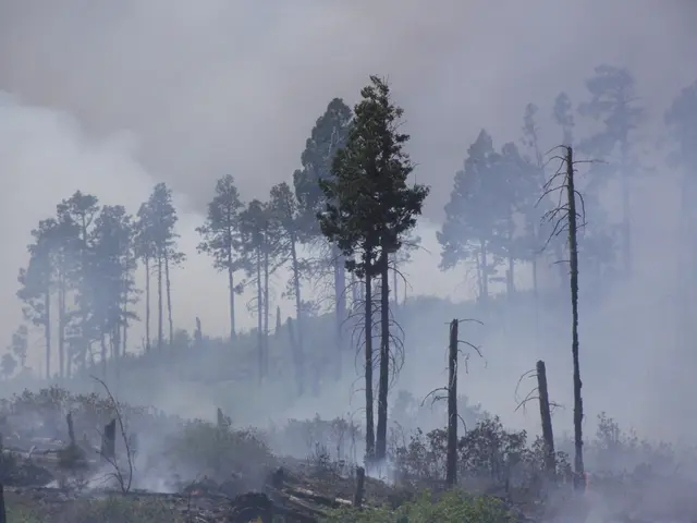 Three Pennsylvania cities identified among the most challenging locales for asthma sufferers to...