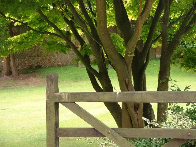 Rapid Advancement of Digital Technologies and Institutional Transformations for Sustainable Farming...