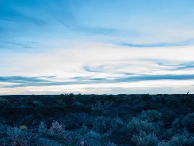 Struggling with Contamination Fears, Fire Survivors Grapple with Testing Issues