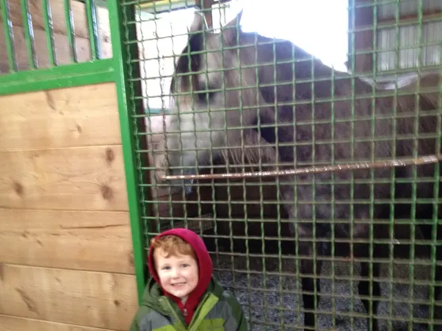 In the Italian city of Grosseto, 9 additional individuals have completed their studies under the...