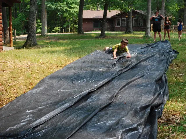 Seeking Community Members for Volunteer Protection Roles