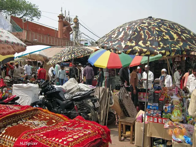 Exploration of Various Perspectives in Modern Islamic Conversations - Diverse Interpretations of...