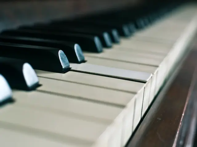 I can see in this image a piano.