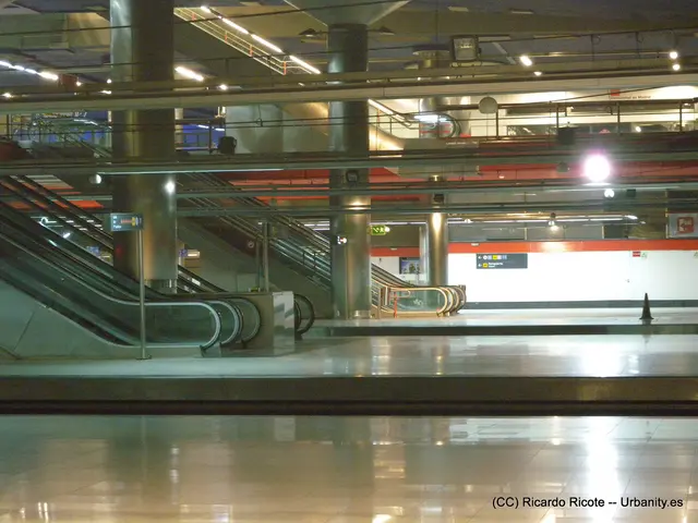 In this image we can see escalators. Also there are pillars and rods. And there are lights and...