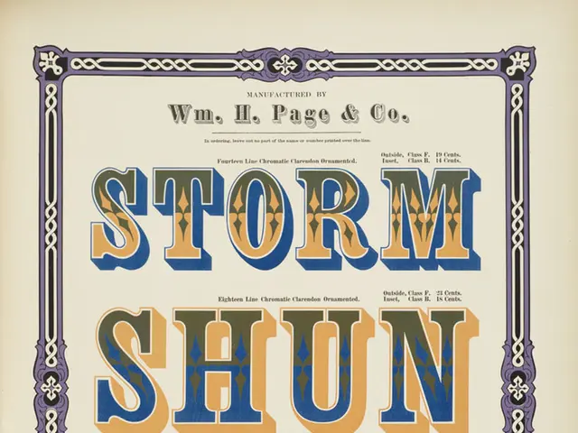 In this image we can see a poster. On the poster we can see some text and design.